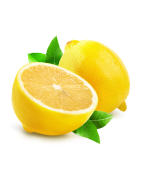 Najlepšie svieže citrusové vône | ISSORIA.SK