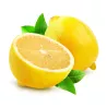 Svieže citrusové