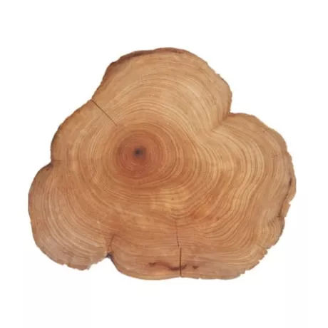 cédrové drevo