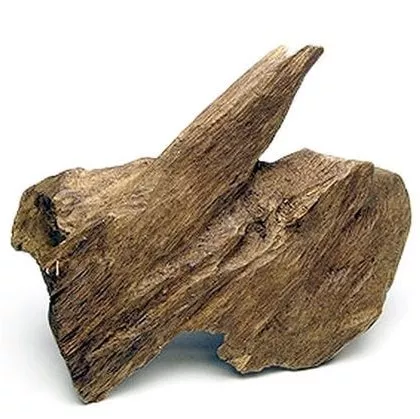 guajakové drevo
